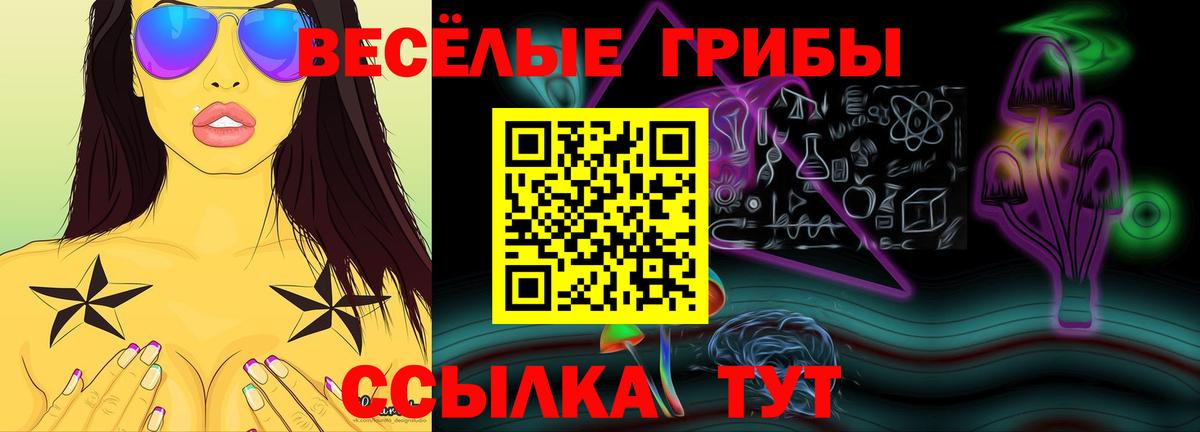 Псилоцибиновые грибы Psilocybe Ульяновск